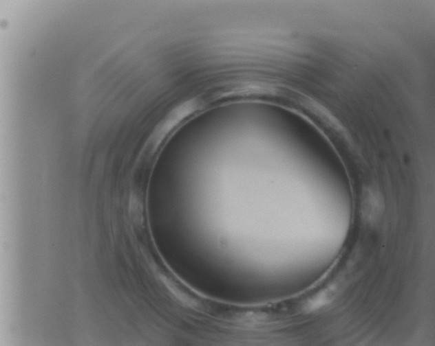 X0000062911321200601201926