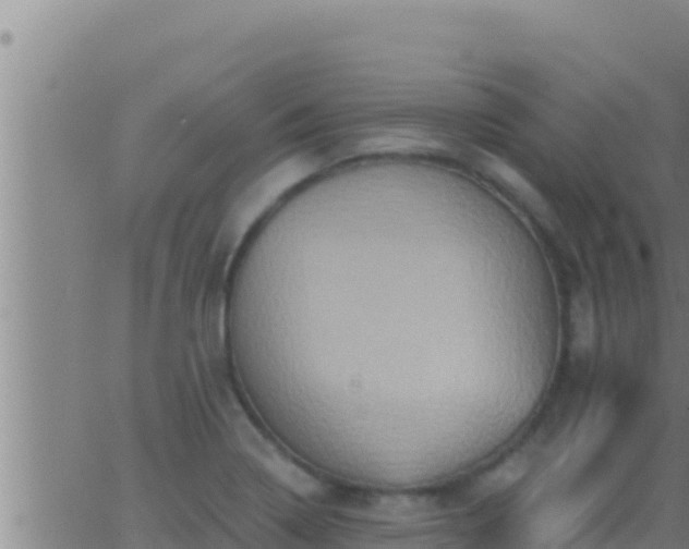 X0000062911322200601201926