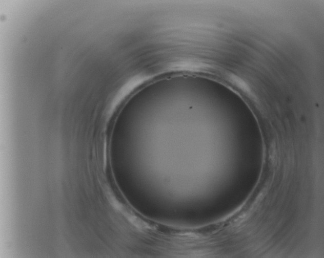 X0000062911323200601201926