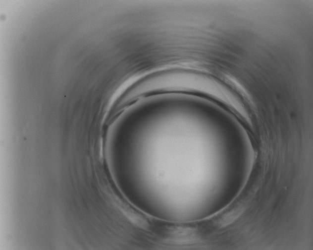 X0000062911324200601201926