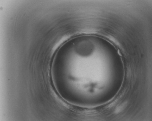 X0000062911325200601201926