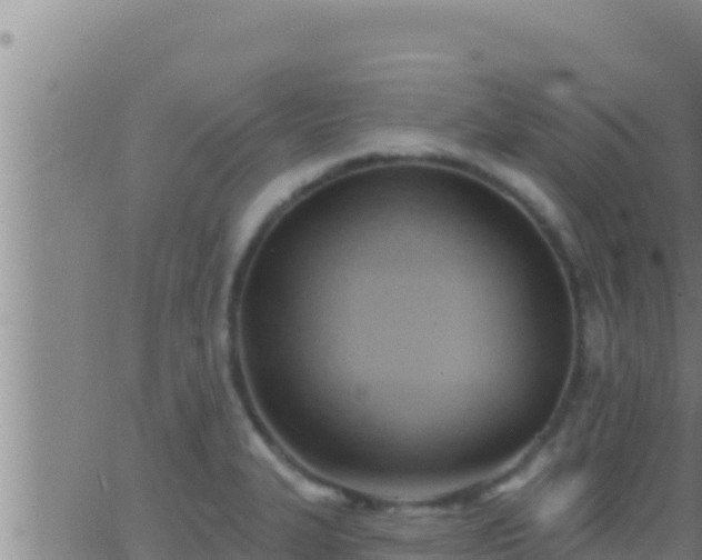 X0000062911327200601201926