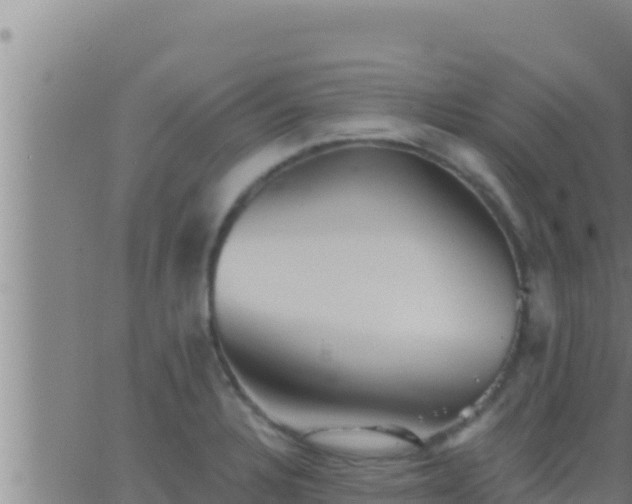 X0000062911328200601201926