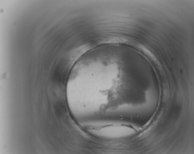 X0000062911329200601201926