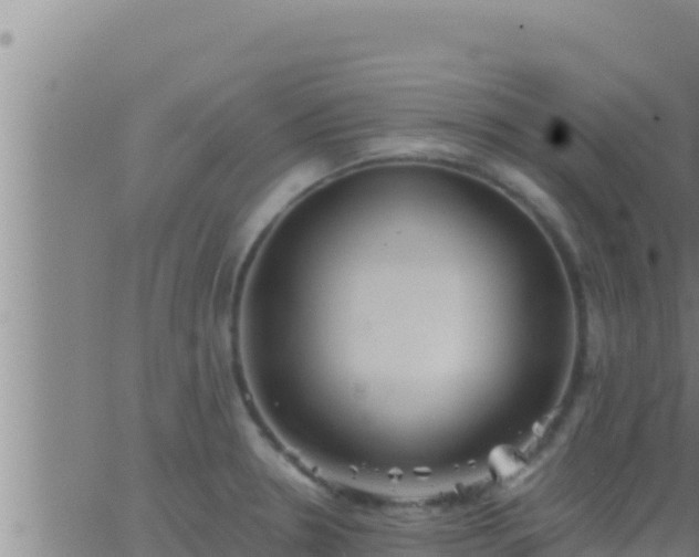 X0000062911330200601201926