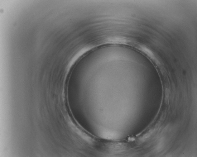 X0000062911331200601201926