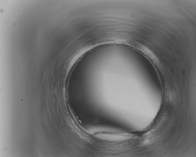 X0000062911332200601201926