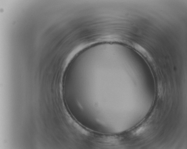 X0000062911334200601201926