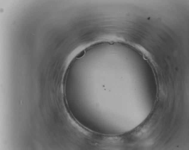 X0000062911335200601201926