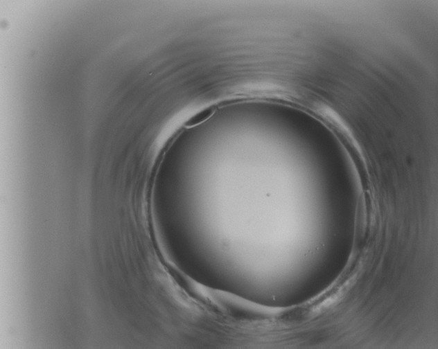 X0000062911336200601201926