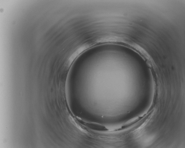 X0000062911337200601201926