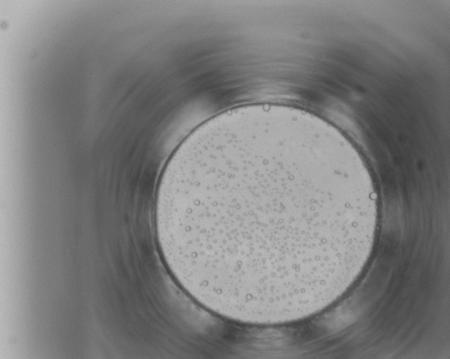 X0000062911338200601201927