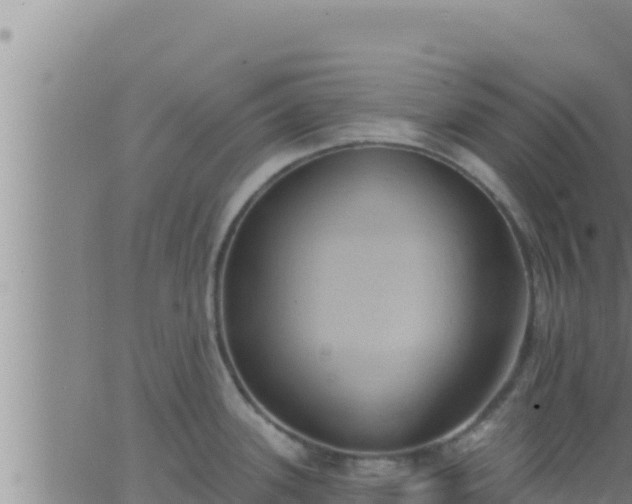 X0000062911339200601201927