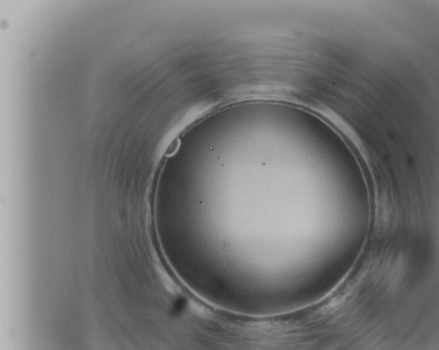 X0000062911341200601201927