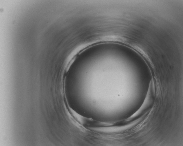 X0000062911342200601201927