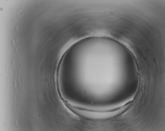 X0000062911343200601201927