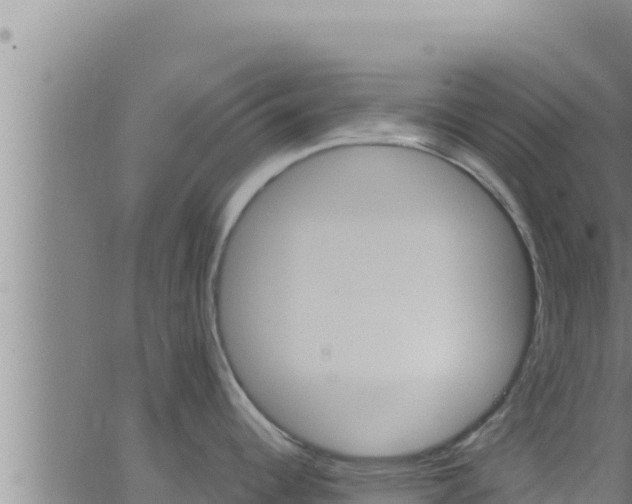 X0000062911344200601201927