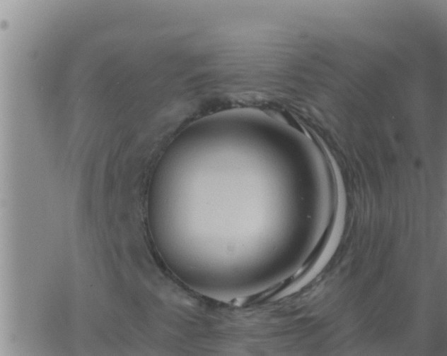 X0000062911345200601201926