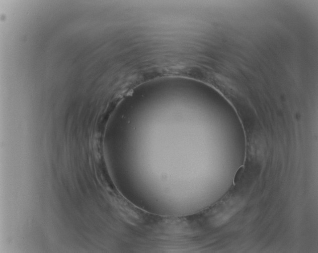 X0000062911346200601201926