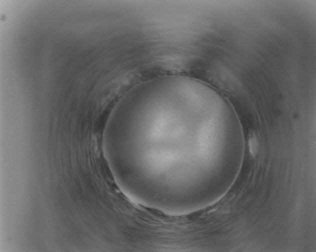 X0000062911347200601201926