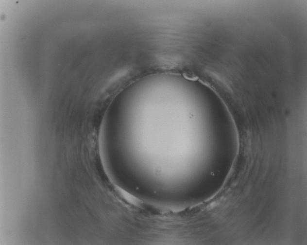 X0000062911349200601201926