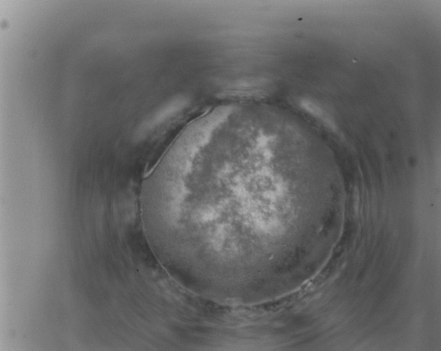 X0000062911350200601201926