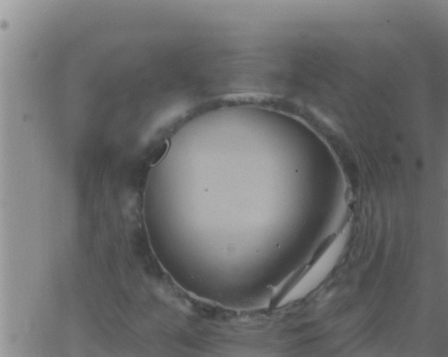 X0000062911351200601201926