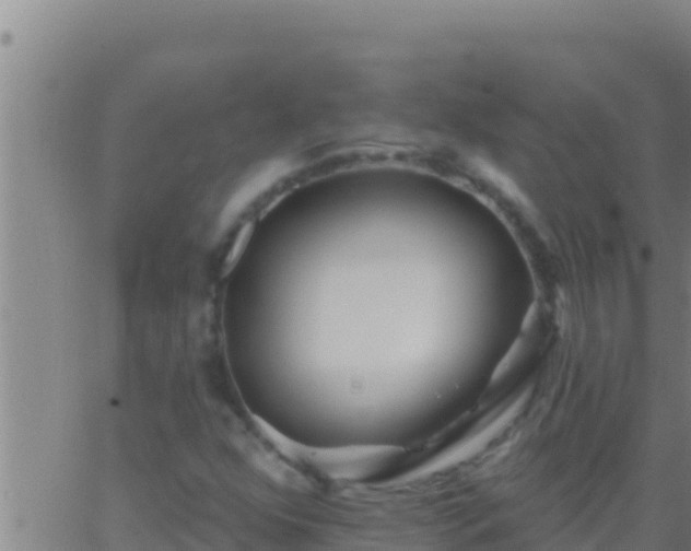 X0000062911352200601201926