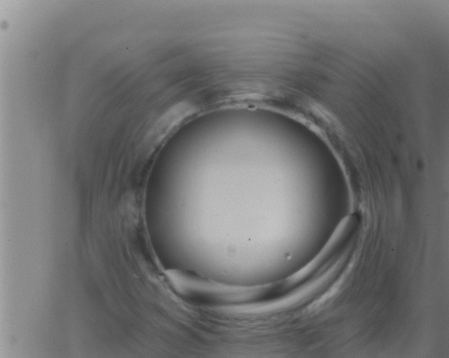 X0000062911353200601201926