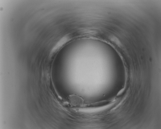 X0000062911354200601201926