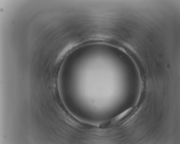 X0000062911355200601201926