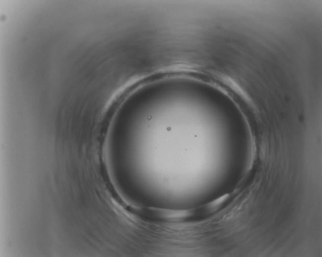 X0000062911356200601201926