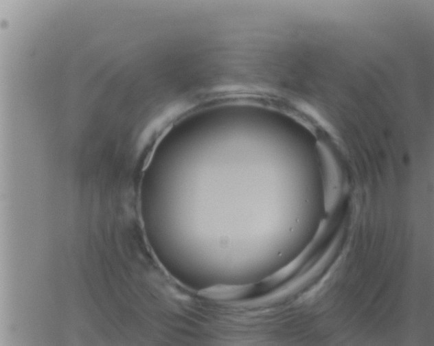 X0000062911357200601201926