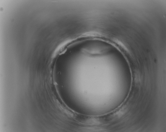 X0000062911358200601201926