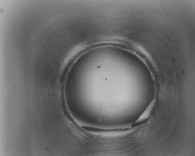 X0000062911360200601201926