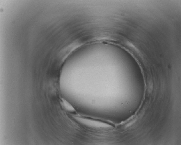 X0000062911361200601201926