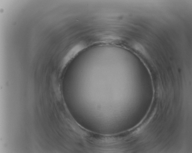 X0000062911362200601201926