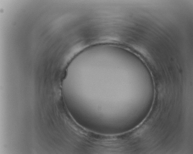 X0000062911363200601201926