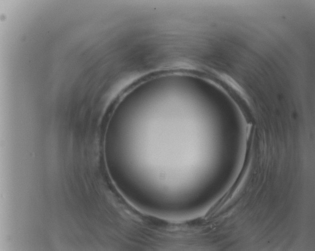 X0000062911364200601201926