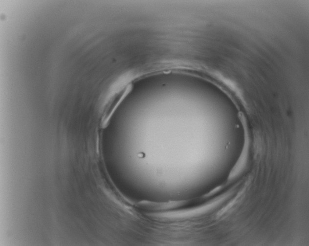 X0000062911365200601201926