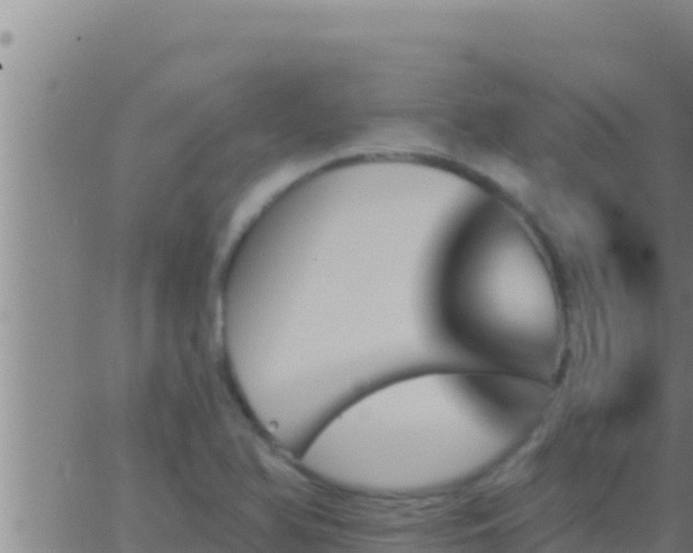 X0000062911366200601201925