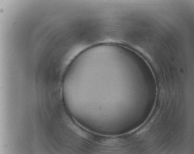 X0000062911367200601201925