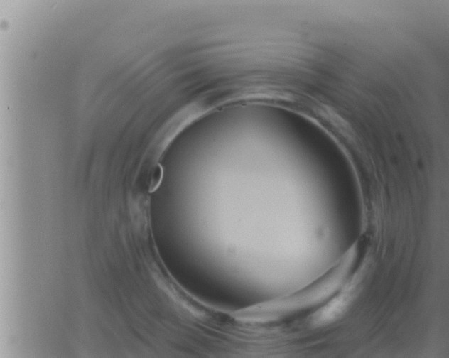 X0000062911369200601201925