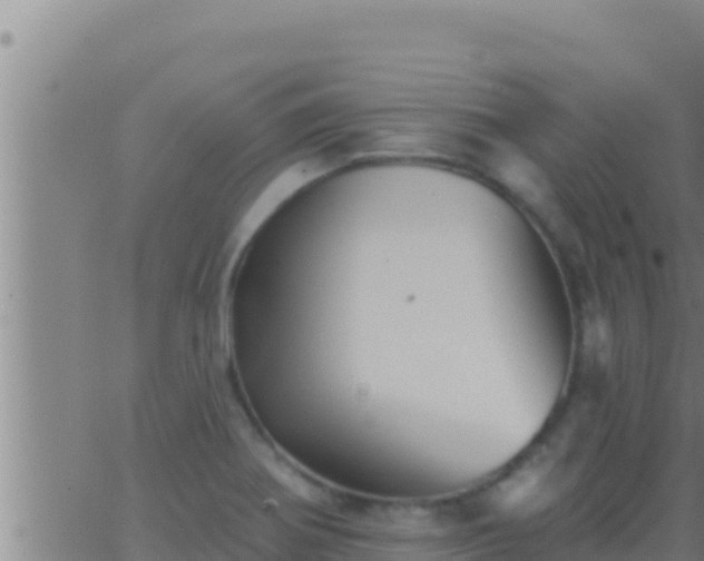 X0000062911370200601201925