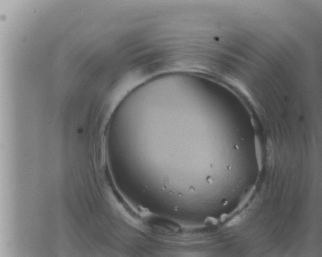 X0000062911371200601201925