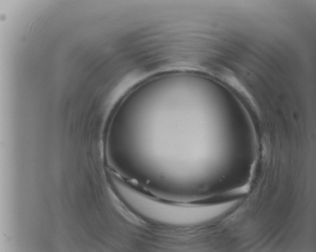 X0000062911372200601201925