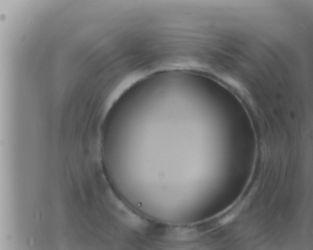 X0000062911374200601201925