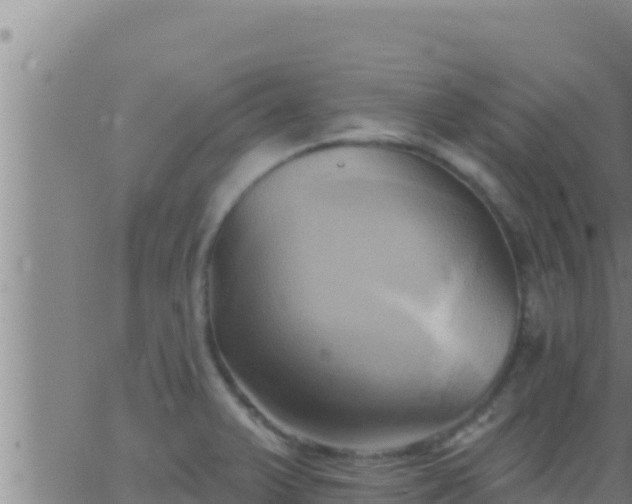 X0000062911375200601201925