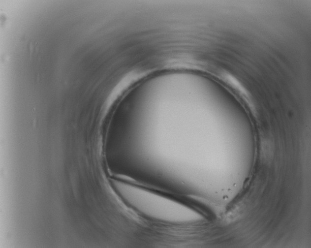 X0000062911376200601201925