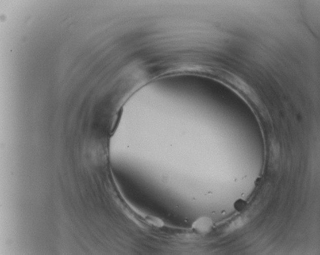 X0000062911377200601201925